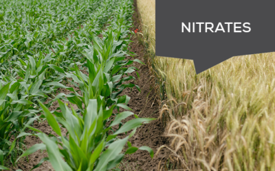 Directive Nitrates : quelles nouveautés ?