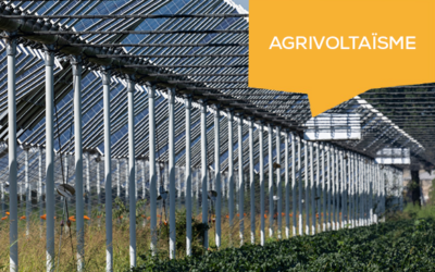 Agrivoltaïsme : comment bien préparer son projet ?