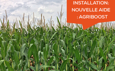 Installation : Une nouvelle aide régionale pour les futurs installés : Agriboost