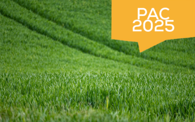 PAC 2025 : Rotation des cultures